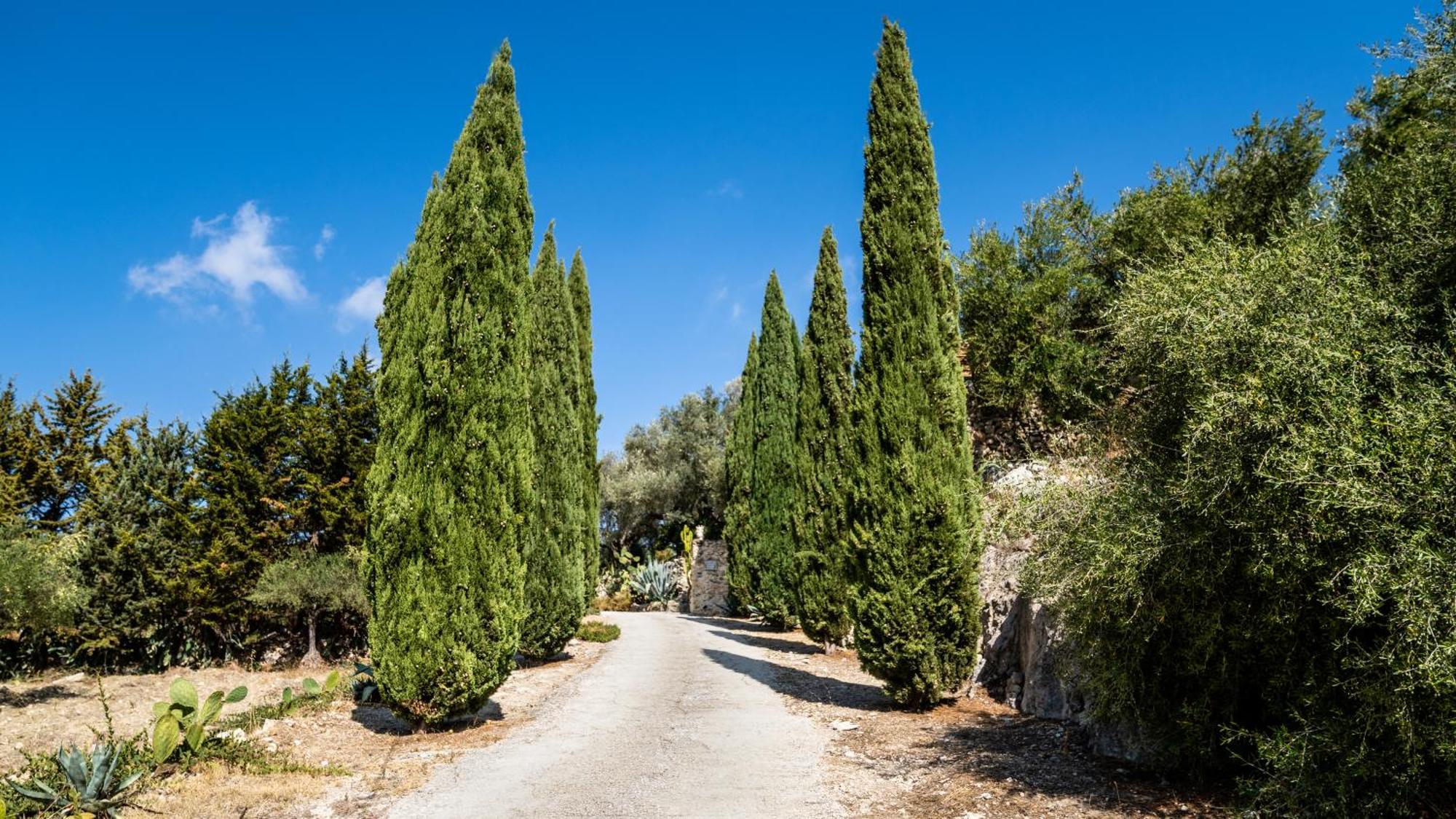 Roba Degli Ulivi Panzió Agrigento Kültér fotó